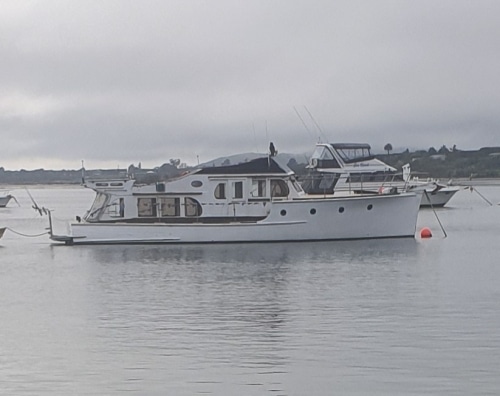 Aoroa