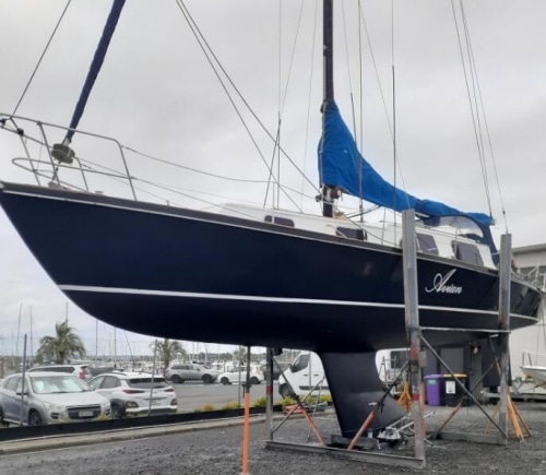 Avian-20