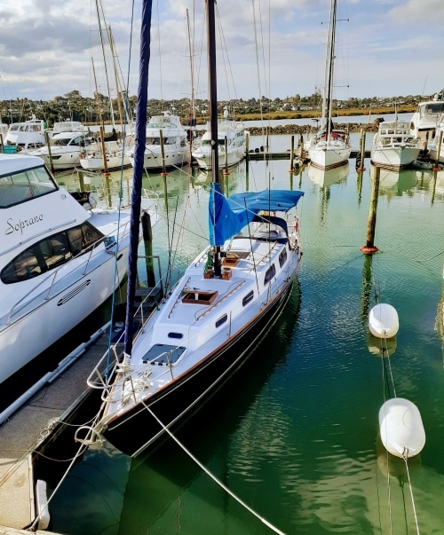 Avian-26