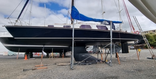 Avian-27