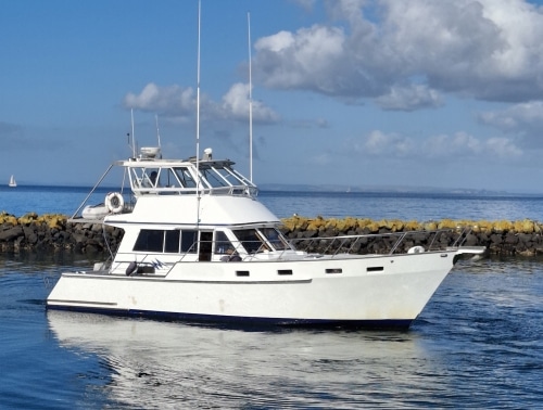 Gulf-Star-42