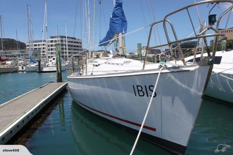Ibis-26