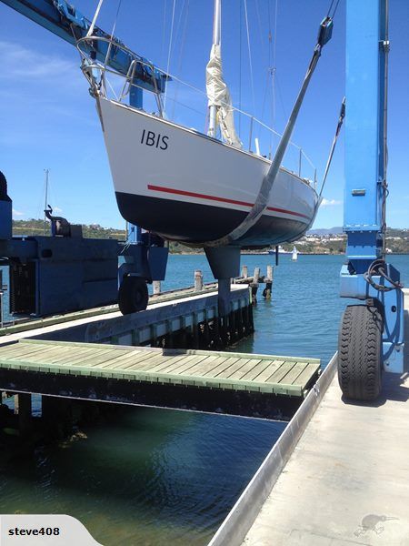 Ibis-29