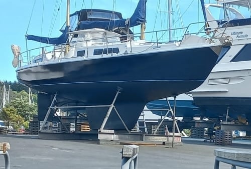 Isle-of-June-40