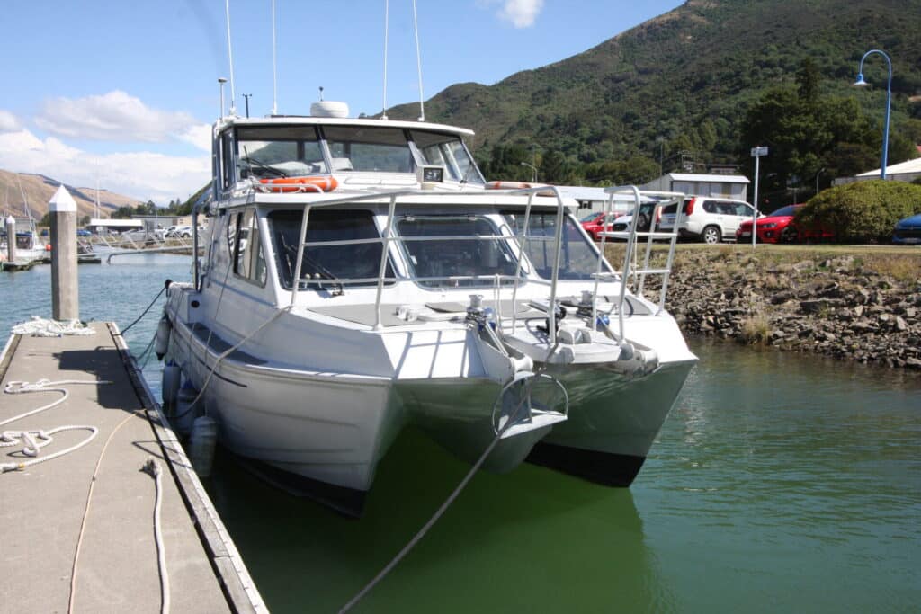 Mercury Fisher