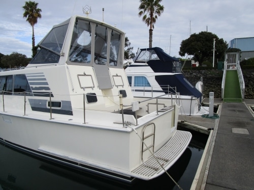 Ocean-Safari-45