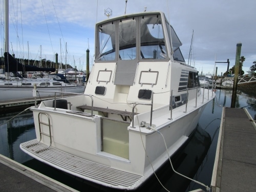Ocean-Safari-47