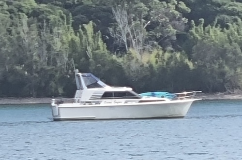 Ocean-Safari-5