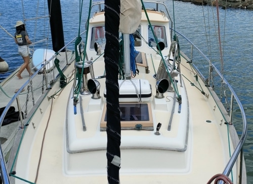 Orca-27