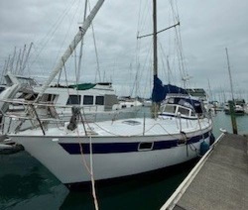Saphira-216