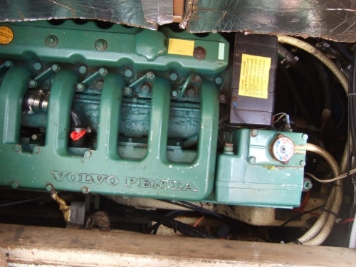 Sauvignon-19
