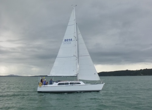 Southern-Oracle-18