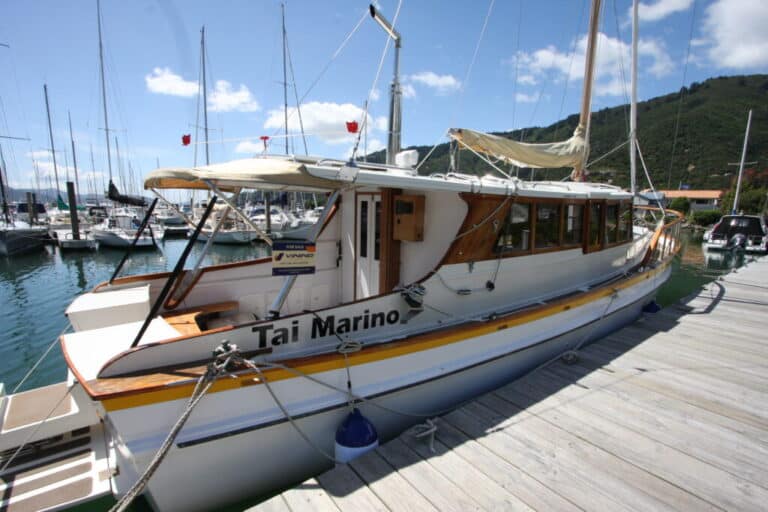 Tai-Marino-22