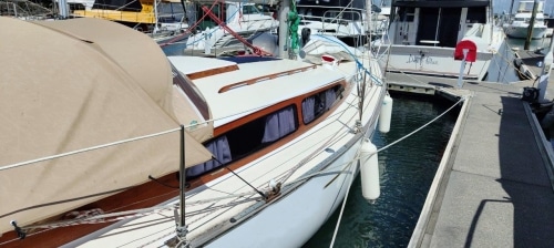Salote-75