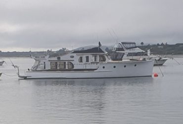 Aoroa