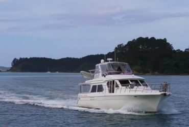 Kiwi Navigator