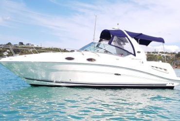 No Name Sea Ray 260