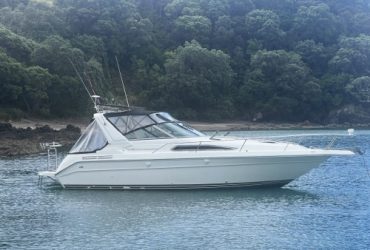 No Name Sea Ray 300 Sport